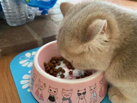 猫咪吃饭为什么竖着耳朵（猫吃饭为什么飞机耳）