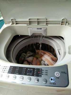 洗衣机为什么转的慢