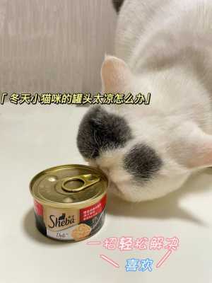  小猫吃凉罐头会怎么样「小猫吃凉罐头会怎么样呢」