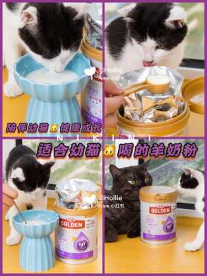 羊奶粉是给猫猫怎么喝