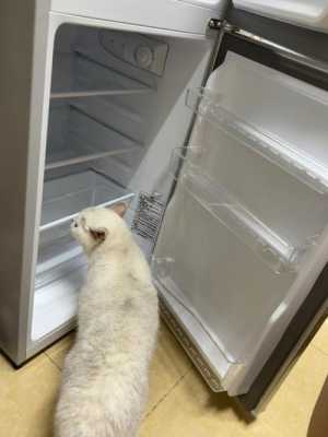 冰柜里面发热是什么原因是什么 冰柜里面热是怎么回事